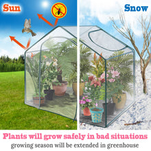 Load image into Gallery viewer, Outdoor Green House Walk in Garden Greenhouse Canopy Gazebo Plant House (5.9'X3.5'X5')