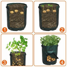 Load image into Gallery viewer, Garden Potato Grow Planter PE Bag Container Tub Outdoor Indoor Vegetables Garden Dia.13.7" Barrel