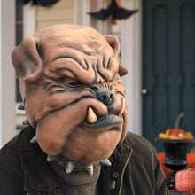 Load image into Gallery viewer, Cosplay Vampire Animal ZOO Halloween Witch Prop Head Mask Party Costume Toy