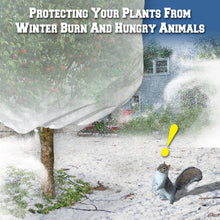 Load image into Gallery viewer, Warm Worth Plant Shrub Bag for Frost Protection