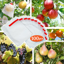 Load image into Gallery viewer, 100pcs Anti Insect Garden Plant Fruit Protect Drawstring non-wove Bag