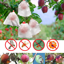 Load image into Gallery viewer, 100pcs Anti Insect Garden Plant Fruit Protect Drawstring non-wove Bag