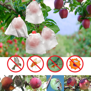 100pcs  Anti Insect Garden Plant Fruit Protect Drawstring non-wove Bag