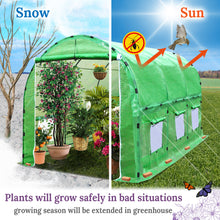 Load image into Gallery viewer, Walk in Outdoor Plant Gardening Hot Greenhouse, w/Frame Pipe Clamps (12ft x 7ft x 7ft)