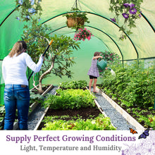 Load image into Gallery viewer, 20'x10'x7' Portable Outdoor Greenhouse Walk-in Garden Plant Tunnel Tent
