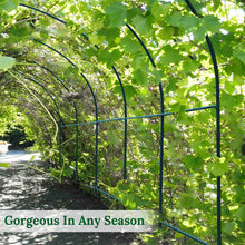 Load image into Gallery viewer, 13'x7'x7.2' Garden Support Frame Climbing Plant Arch Arbor for Flowers/Fruits/Vegetables