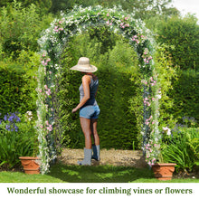 Load image into Gallery viewer, 7.9 ft Steel Arch Frame Trellis Arbor  Plant Climbing for Wedding
