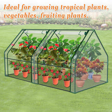 Load image into Gallery viewer, 3x6x3&#39; Mini  Gardening Flower House Plants Greenhouse

