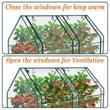 Load image into Gallery viewer, 3x6x3&#39; Mini  Gardening Flower House Plants Greenhouse

