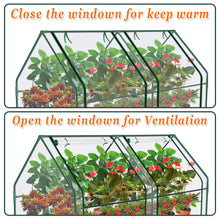 Load image into Gallery viewer, 3x6x3' Mini  Gardening Flower House Plants Greenhouse