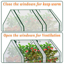 Load image into Gallery viewer, 3x6x3' Mini  Gardening Flower House Plants Greenhouse (PE)