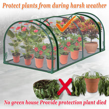 Load image into Gallery viewer, Mini Outdoor Plant Gardening Greenhouse Flower House (PVC, 51" W x 24" D x 19.6" H)