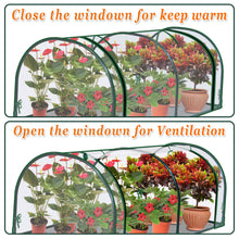 Load image into Gallery viewer, Mini Outdoor Plant Gardening Greenhouse Flower House (PVC, 51" W x 24" D x 19.6" H)