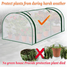 Load image into Gallery viewer, Mini Greenhouse Outdoor Plant Gardening Greenhouse Flower House (PE, 51" W x 24" D x 19.6" H)
