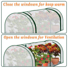 Load image into Gallery viewer, Mini Greenhouse Outdoor Plant Gardening Greenhouse Flower House (PE, 51&quot; W x 24&quot; D x 19.6&quot; H)
