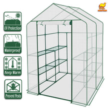 Load image into Gallery viewer, Mini Walk-in Greenhouse Outdoor Plant Shelves UV Protected Plant Green House (56"X56"X76.7")(PE)