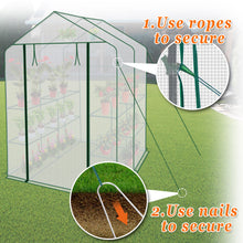 Load image into Gallery viewer, Mini Walk-in Greenhouse Outdoor Plant Shelves UV Protected Plant Green House (56"X56"X76.7")(PE)