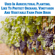 Load image into Gallery viewer, Black Netting Mesh For protecting garden fruits from Bird Poultry