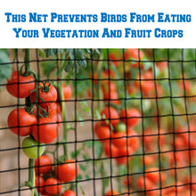 Load image into Gallery viewer, Black Netting Mesh For protecting garden fruits from Bird Poultry