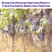 Load image into Gallery viewer, Multi-size Bug Bird Mosquito Mesh Barrier Garden Protective Net