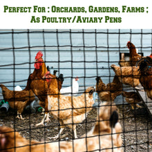 Load image into Gallery viewer, Garden Fruit Plant Protective 600D Nylon net