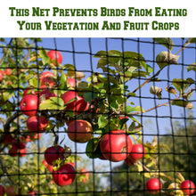 Load image into Gallery viewer, Garden Fruit Plant Protective 600D Nylon net