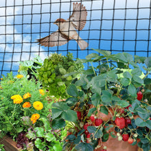 Load image into Gallery viewer, Garden Fruit Plant Protective 600D Nylon net