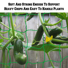 Load image into Gallery viewer, 3 to 20ft Stronger Trellis  Support Netting for Plants Climbing Grow