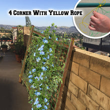 Load image into Gallery viewer, 3 to 20ft Stronger Trellis  Support Netting for Plants Climbing Grow