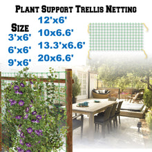 Load image into Gallery viewer, 3 to 20ft Stronger Trellis  Support Netting for Plants Climbing Grow