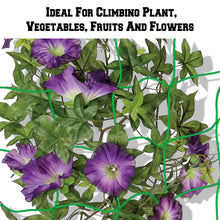 Load image into Gallery viewer, 3 to 20ft Stronger Trellis  Support Netting for Plants Climbing Grow