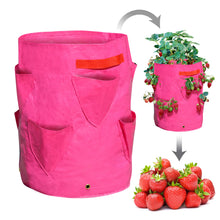 Load image into Gallery viewer, 4Pack Strawberry Grow Pots Plant Planter Bags Root Garden Container with Drainage