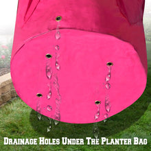 Load image into Gallery viewer, 4Pack Strawberry Grow Pots Plant Planter Bags Root Garden Container with Drainage