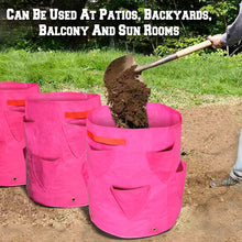 Load image into Gallery viewer, 4Pack Strawberry Grow Pots Plant Planter Bags Root Garden Container with Drainage