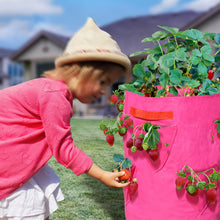Load image into Gallery viewer, 4Pack Strawberry Grow Pots Plant Planter Bags Root Garden Container with Drainage