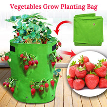 Load image into Gallery viewer, 11 Gallon Nonwoven Fabric Planting Grow Bags Pots