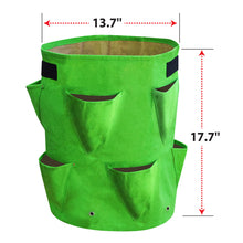 Load image into Gallery viewer, 11 Gallon Nonwoven Fabric Planting Grow Bags Pots