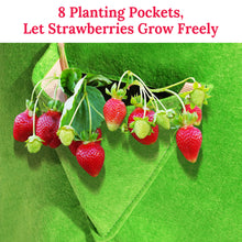 Load image into Gallery viewer, 11 Gallon Nonwoven Fabric Planting Grow Bags Pots