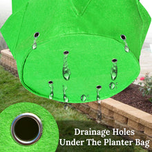 Load image into Gallery viewer, 11 Gallon Nonwoven Fabric Planting Grow Bags Pots