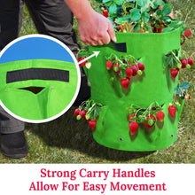 Load image into Gallery viewer, 11 Gallon Nonwoven Fabric Planting Grow Bags Pots
