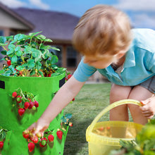 Load image into Gallery viewer, 11 Gallon Nonwoven Fabric Planting Grow Bags Pots