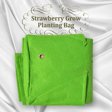 Load image into Gallery viewer, 11 Gallon Nonwoven Fabric Planting Grow Bags Pots
