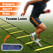 Load image into Gallery viewer, PD-2
