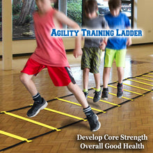 Load image into Gallery viewer, PD-2
