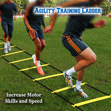 Load image into Gallery viewer, PD-2
