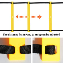 Load image into Gallery viewer, PD-2
