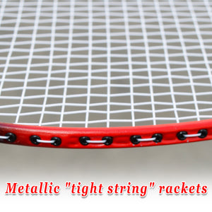 2 Pack Badminton Racquet Lightweight Badminton Set with Bag