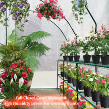 Load image into Gallery viewer, 10x5x7&#39;H Large Walk-In Wall Half Greenhouse w 3 tiers 6 Shelves White Yard
