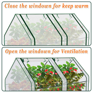 3x6x3' Mini  Gardening Flower House Plants Greenhouse (PE)