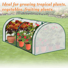 Load image into Gallery viewer, Mini Greenhouse Outdoor Plant Gardening Greenhouse Flower House (PE, 51&quot; W x 24&quot; D x 19.6&quot; H)

